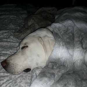 Meet your Posher, Tracy